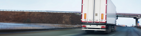 Cargo Seal